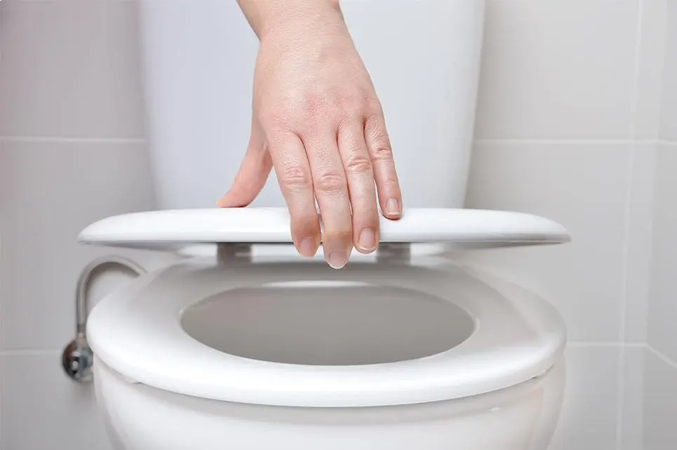 How To Clean A Toilet