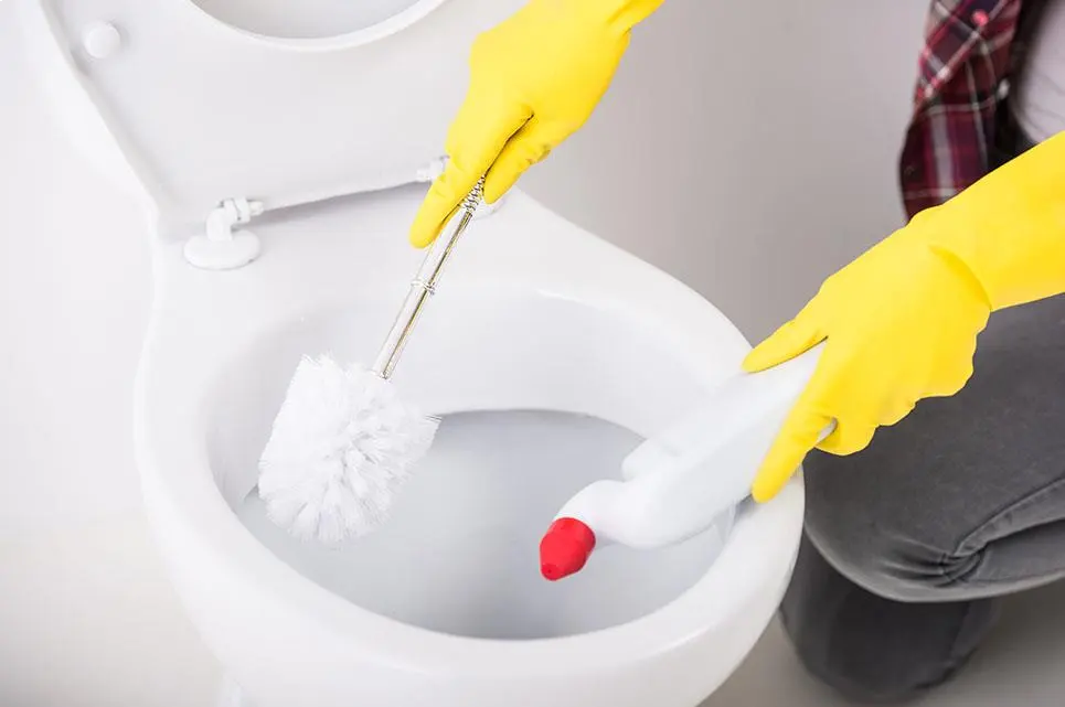 How To Clean A Toilet