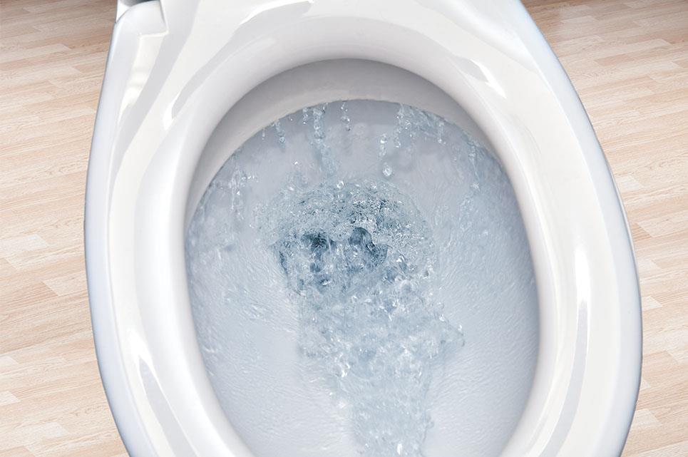 how-to-clean-a-toilet-dettol-australia